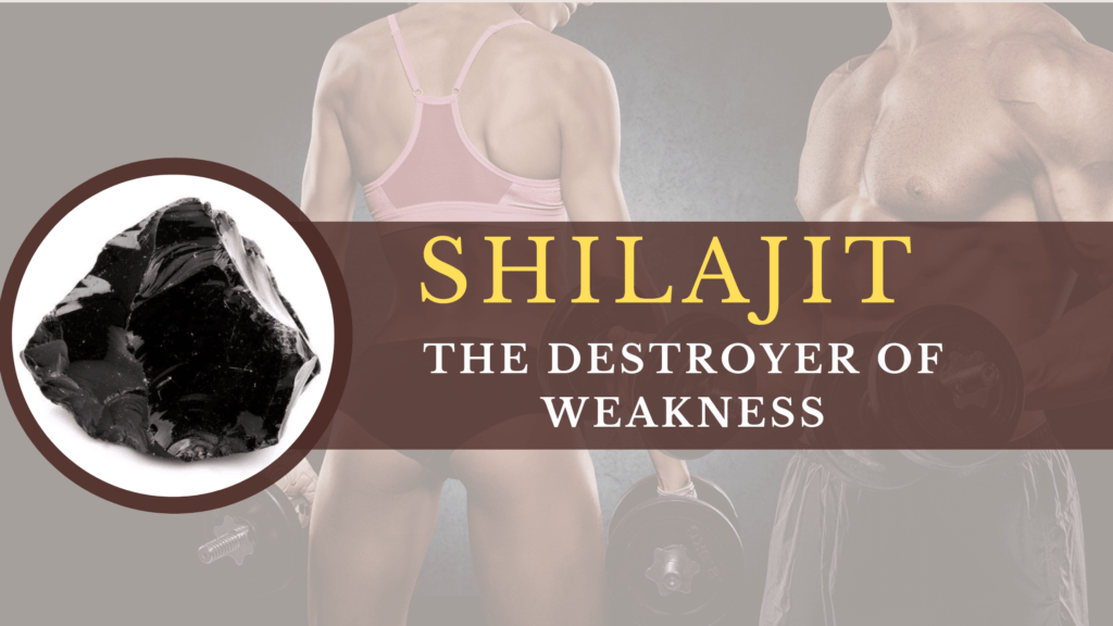 Health Benefits of Shilajit