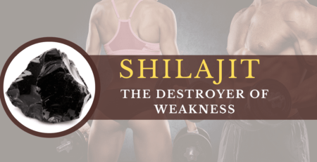 Health Benefits of Shilajit