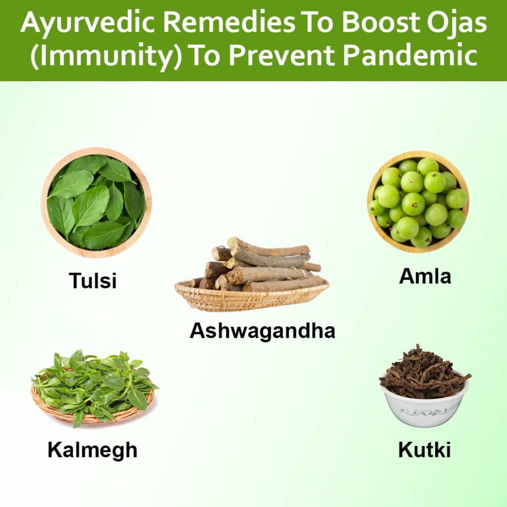 Ayurvedic herbs for strong Immune system