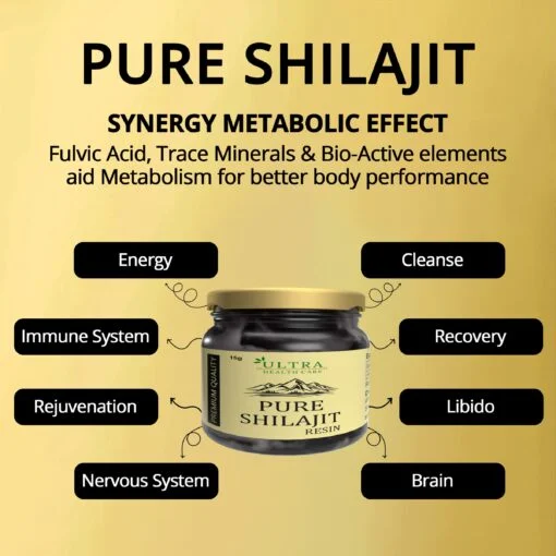 Pure Shilajit Resin