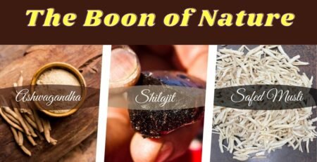 powerful Herbs in ayurveda