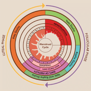 Tridosha Menstrual Cycle