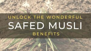 Safed Musli Benefits