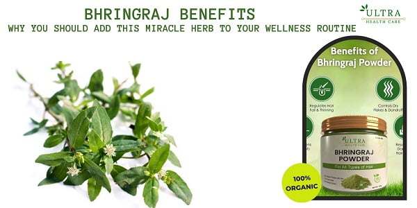 bhringraj benefits